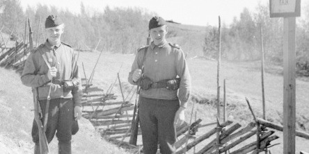 salmi